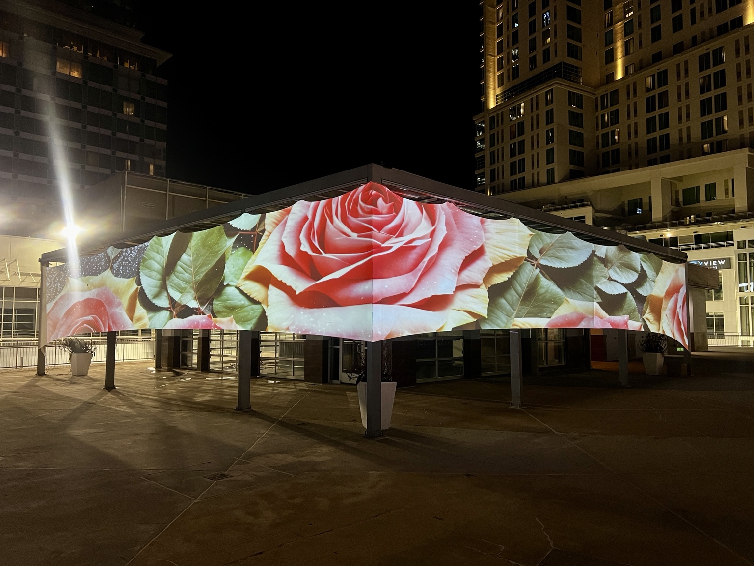 Rose and leaf visuals wrapping around an outdoor pavilion
