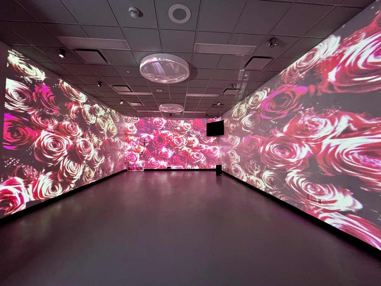 An immersive room surrounded by roses